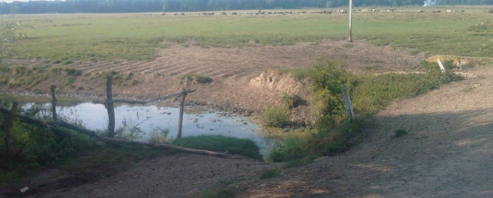 
            Фотография Сусолова