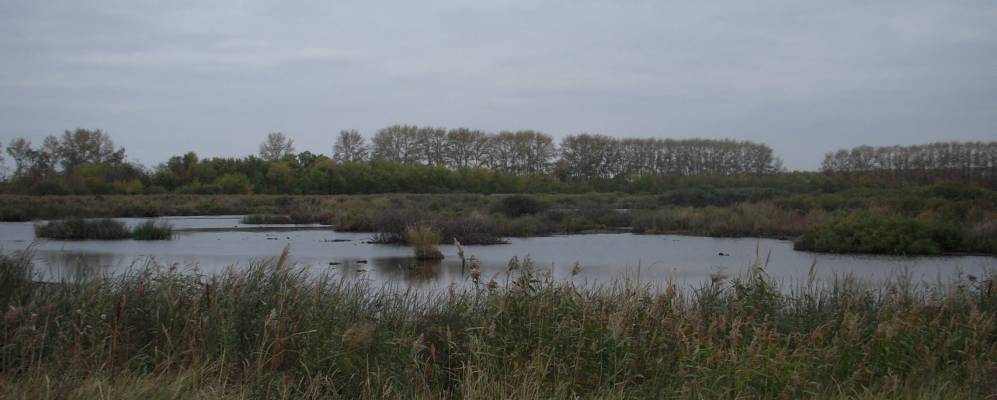 
            Фотография Никольской