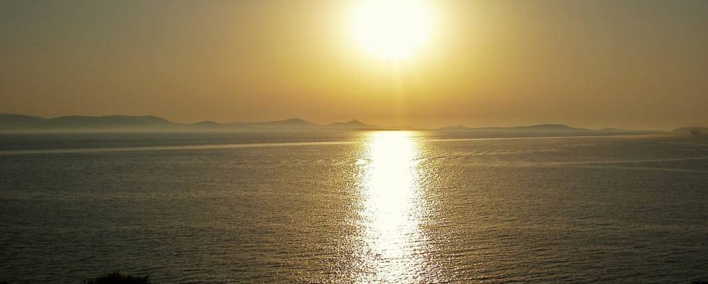 
            Фотография Стелиды