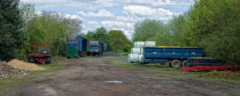 
            Фотография Лонгхопа