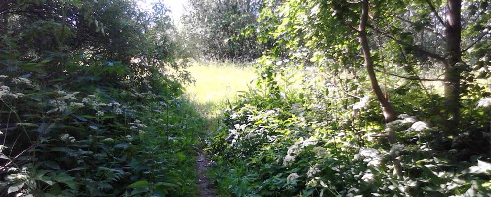 
            Фотография Александровского