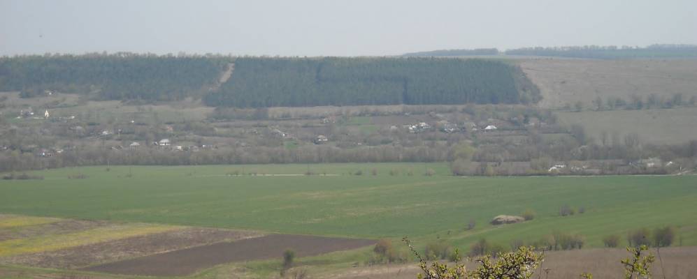 
            Фотография Ивоновки