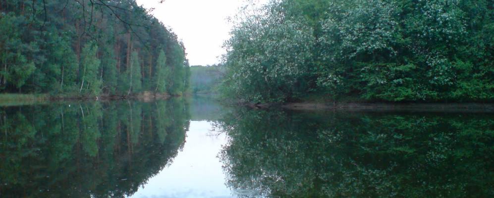 Фотография Олина