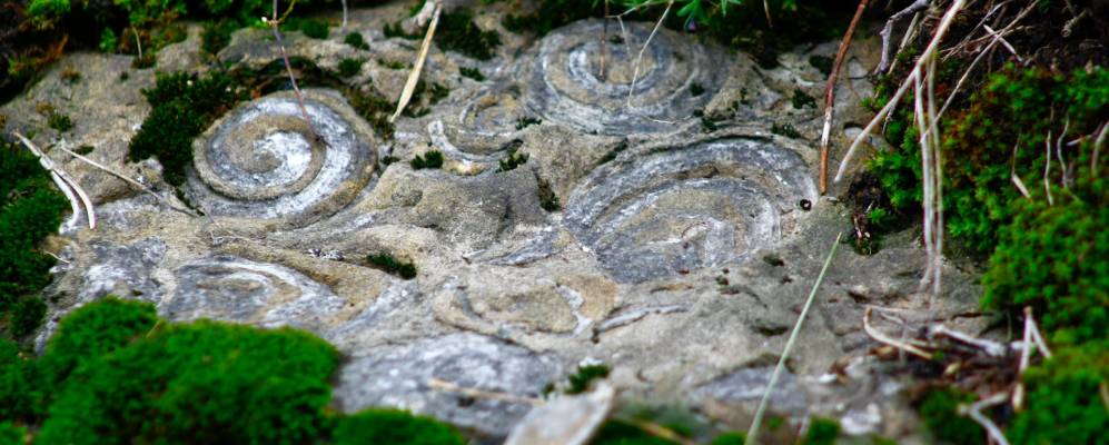 
            Фотография Хорджешть