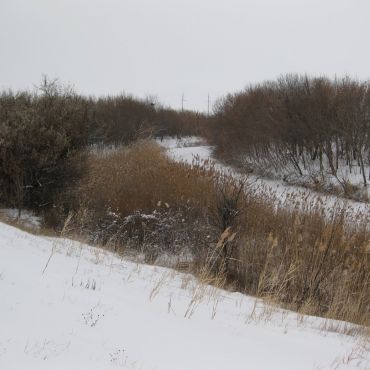 Михайловский 