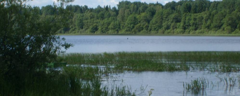 
            Фотография Никольского