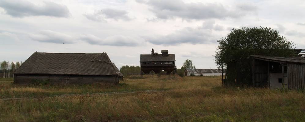 
            Фотография Гоголева Бора