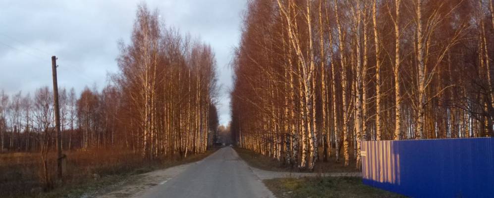 
            Фотография Нового Посёлка