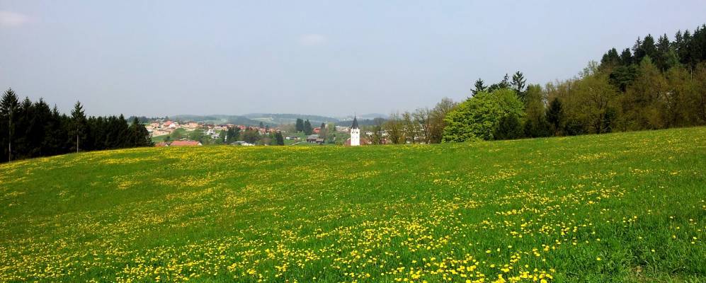 
            Фотография Бад-Целль