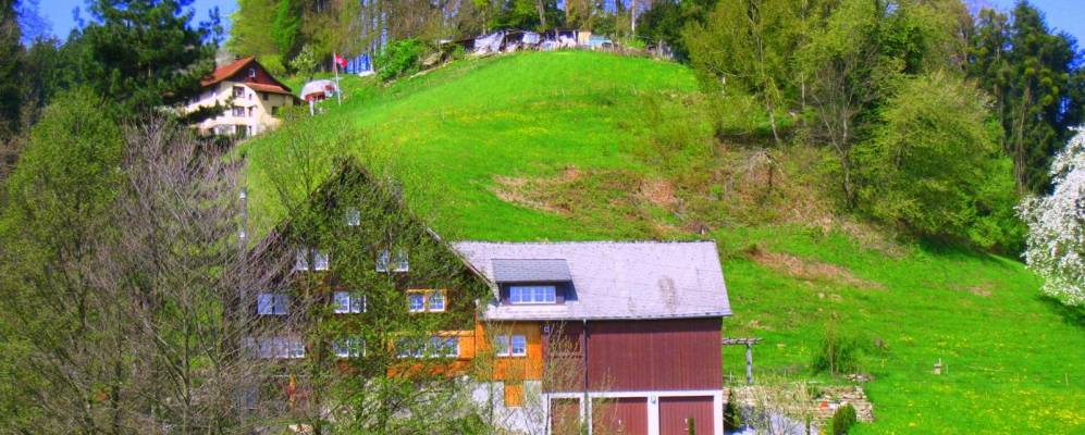 
            Фотография Бальгаха