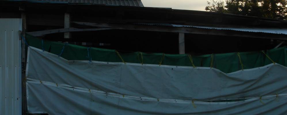 
            Фотография Сатте