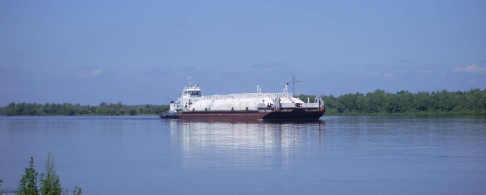 Фотография Полуяновы