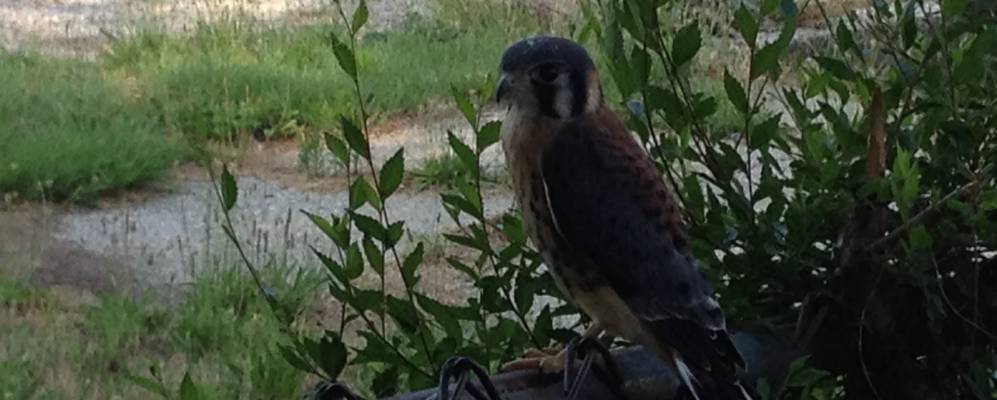 
            Фотография Калумет Сити