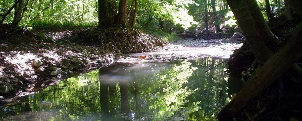 
            Фотография Афонки