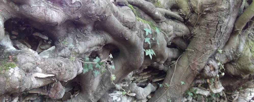 
            Фотография Стонесфилда