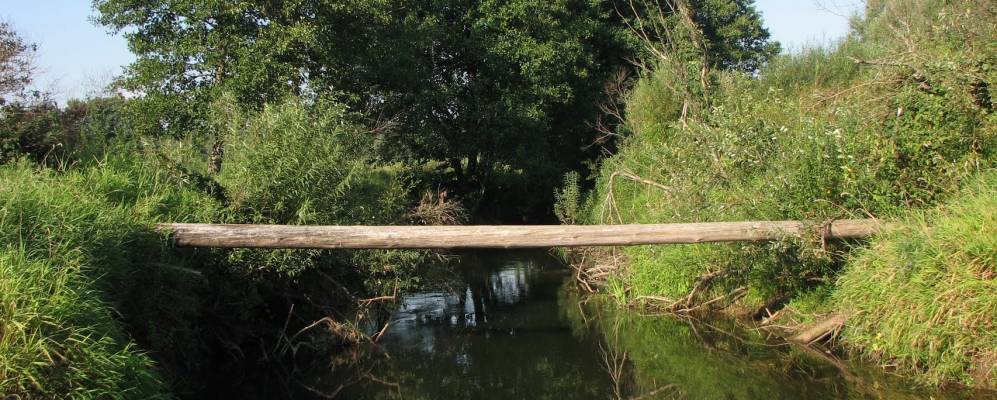 
            Фотография Илькино