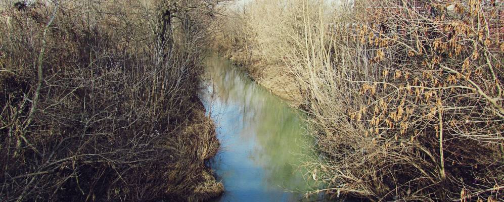 
            Фотография Свободного