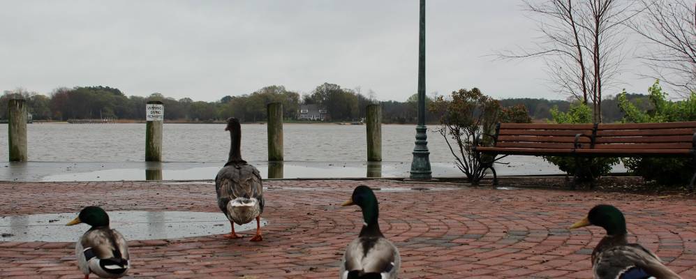 
            Фотография Честертауна