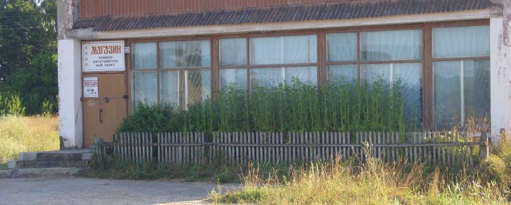 
            Фотография Александрии