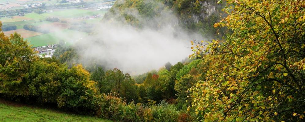 
            Фотография Вионны