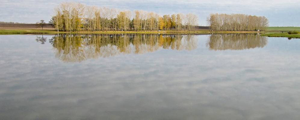 Фотография Кузьминки