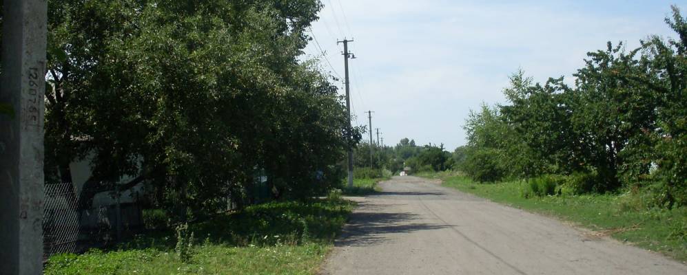 
            Фотография Скибовки