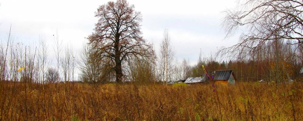 Фотография Пестерево