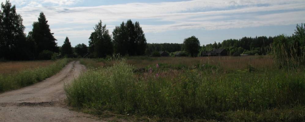 
            Фотография Ленивцево