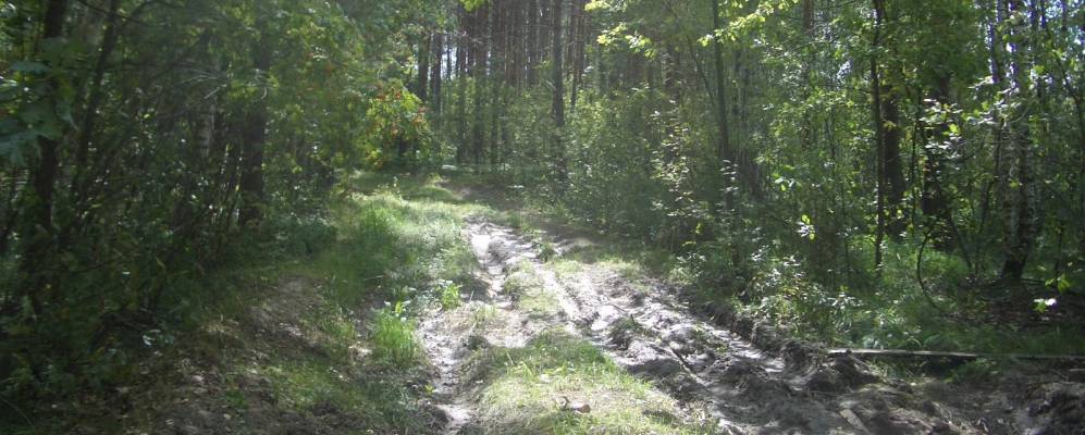 
            Фотография Поселка Тонинского Лесничества