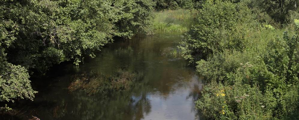 Фотография Выплохии