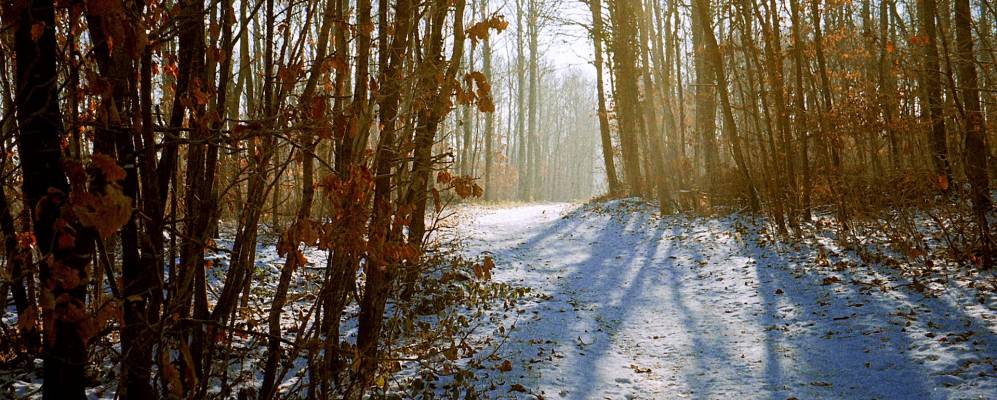 
            Фотография Ля-Рошета