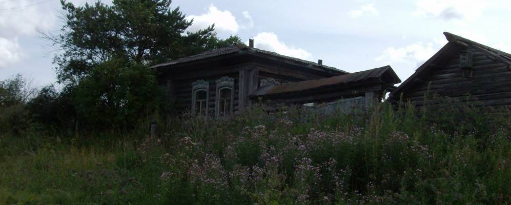 
            Фотография Хандорины