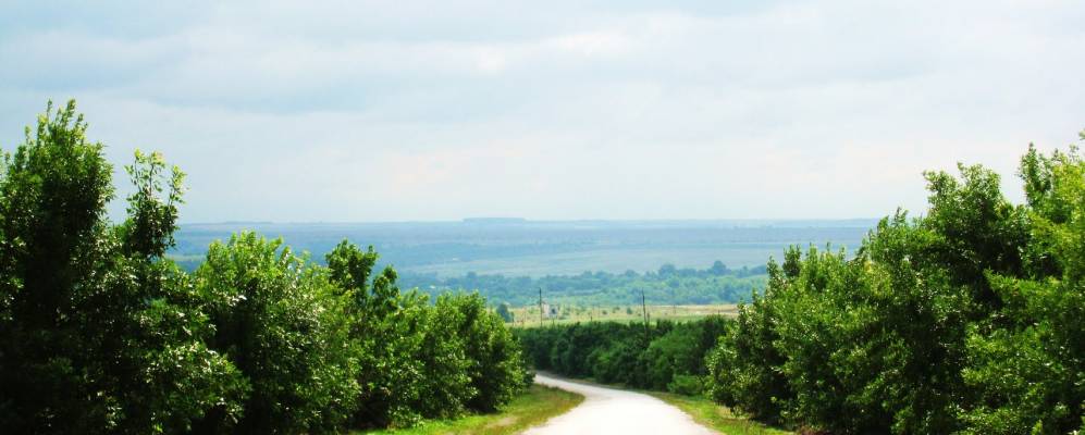 
            Фотография Михалкова