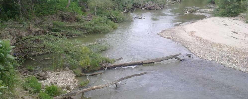 
            Фотография Карцева