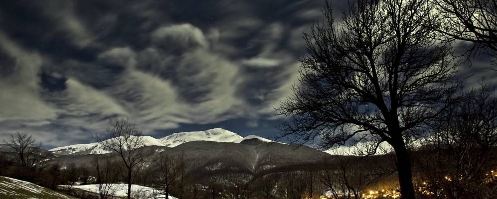 
            Фотография Суччисо Супериора