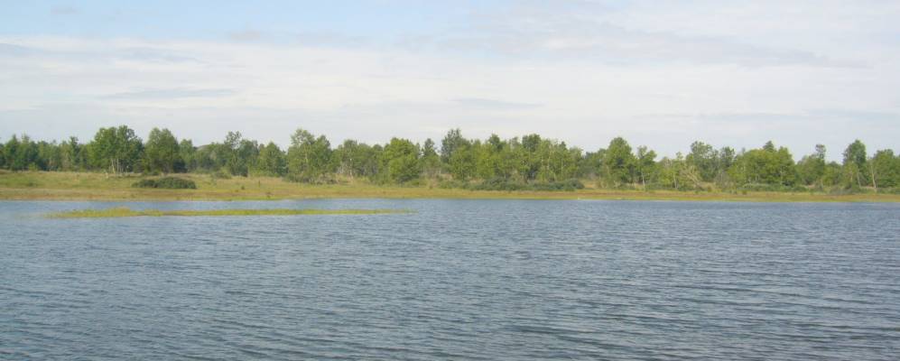 
            Фотография Кирзавода 2-го