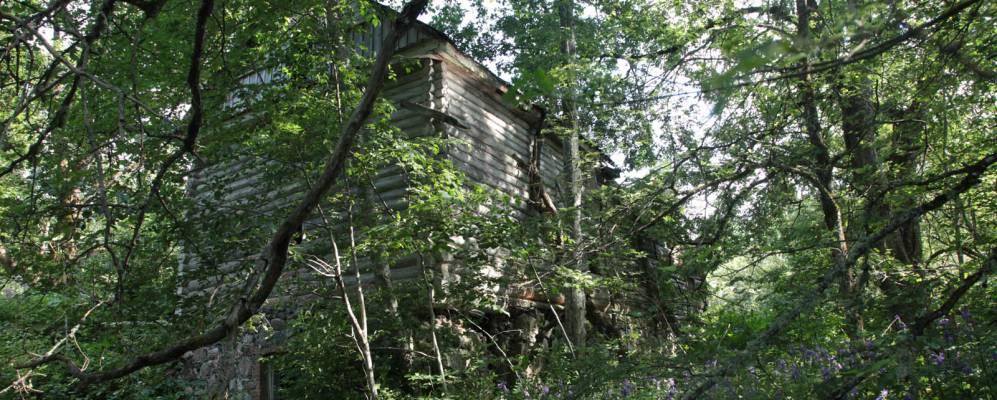 
            Фотография Тараскино