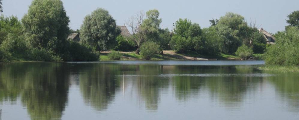 
            Фотография Снядина