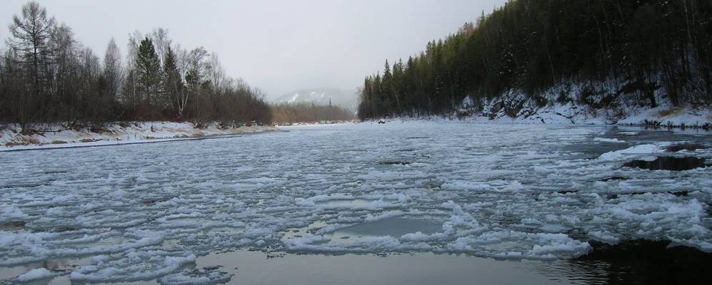 
            Фотография Шороховы