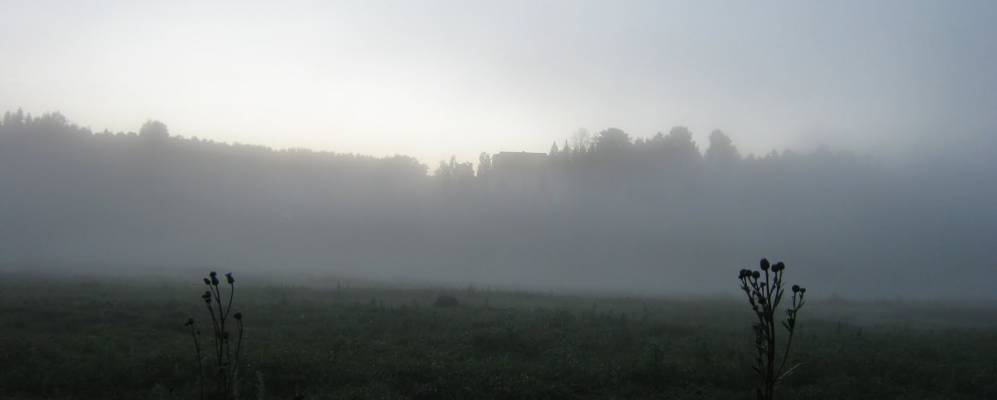 
            Фотография Демина