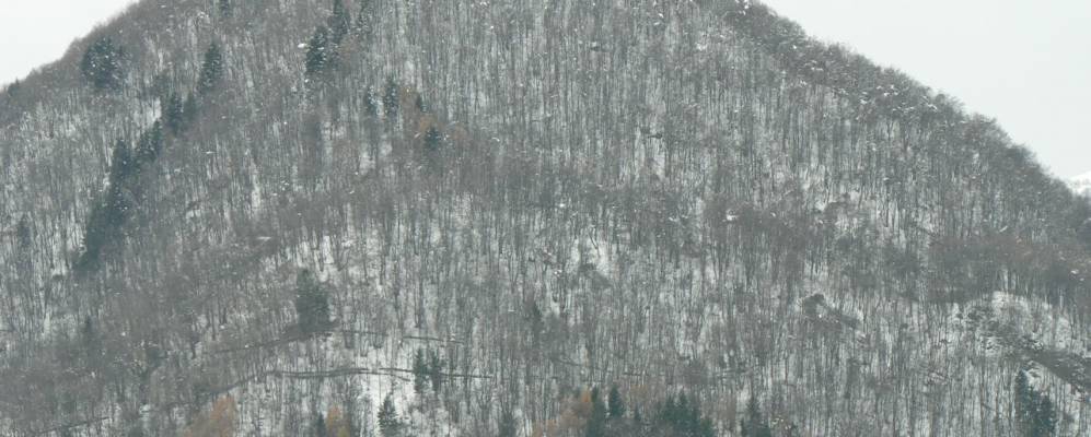 
            Фотография Скиньяно