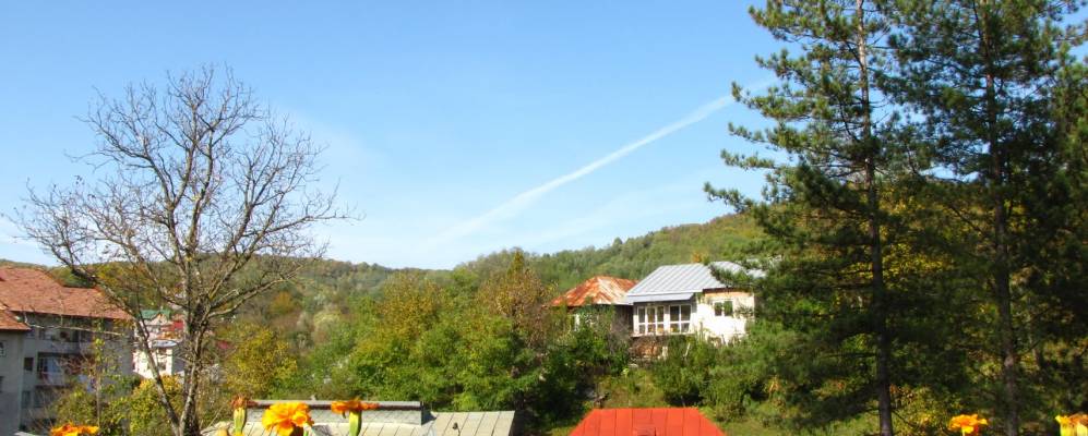 
            Фотография Бэиле-Говоры