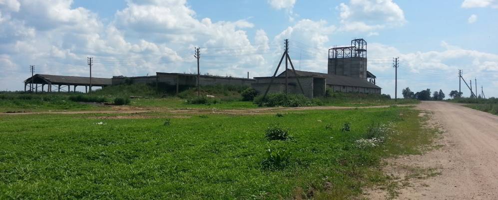 Фотография Погуляйки