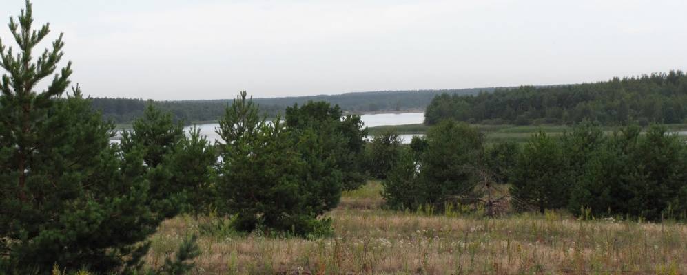 
            Фотография Грозы