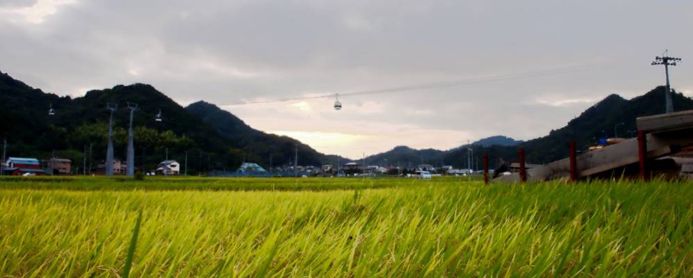 
            Фотография Идзунокуни