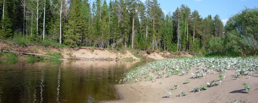 Фотография Подгорного