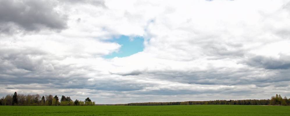 
            Фотография Пьяньково