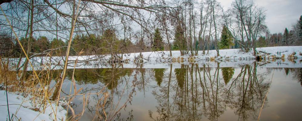 Фотография Русских