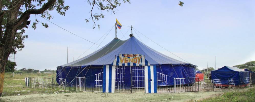 
            Фотография Понедеры