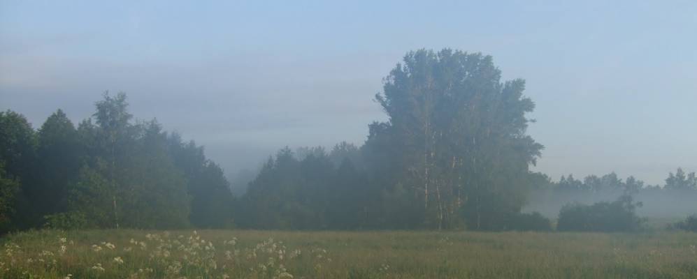 
            Фотография Миленино